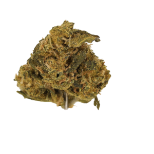 Dawg Bud Fusion 4